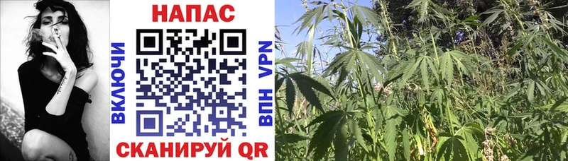 Купить наркоту Гусь-Хрустальный ОМГ ОМГ как зайти COCAIN ГАШИШ Канабис