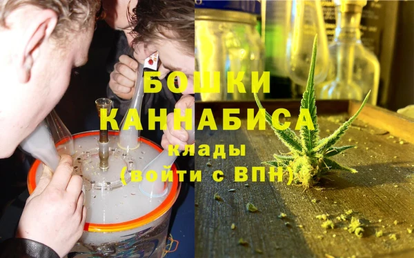 хмурый Тайга