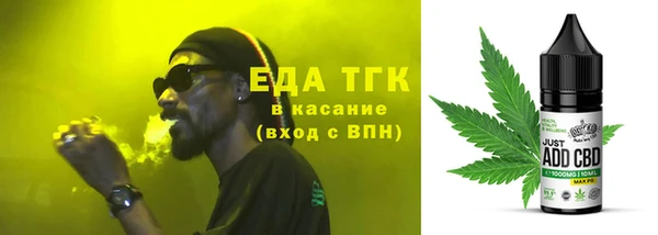 хмурый Тайга