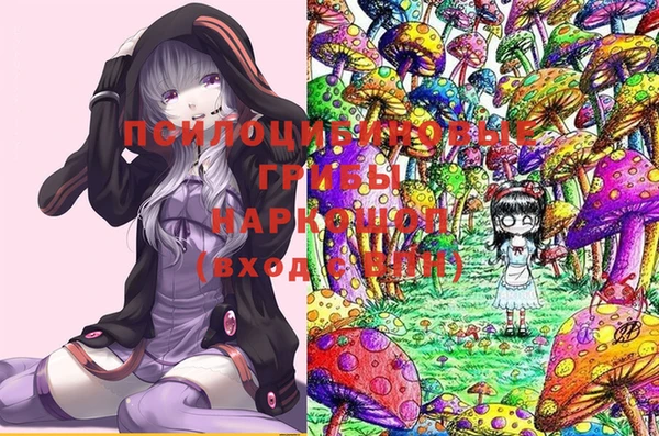 МДПВ Тавда