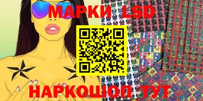 шишки Гатчина