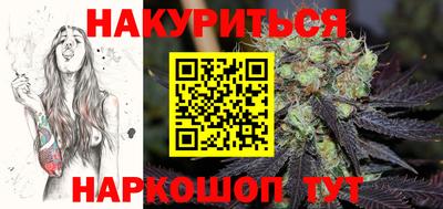 шишки Гатчина