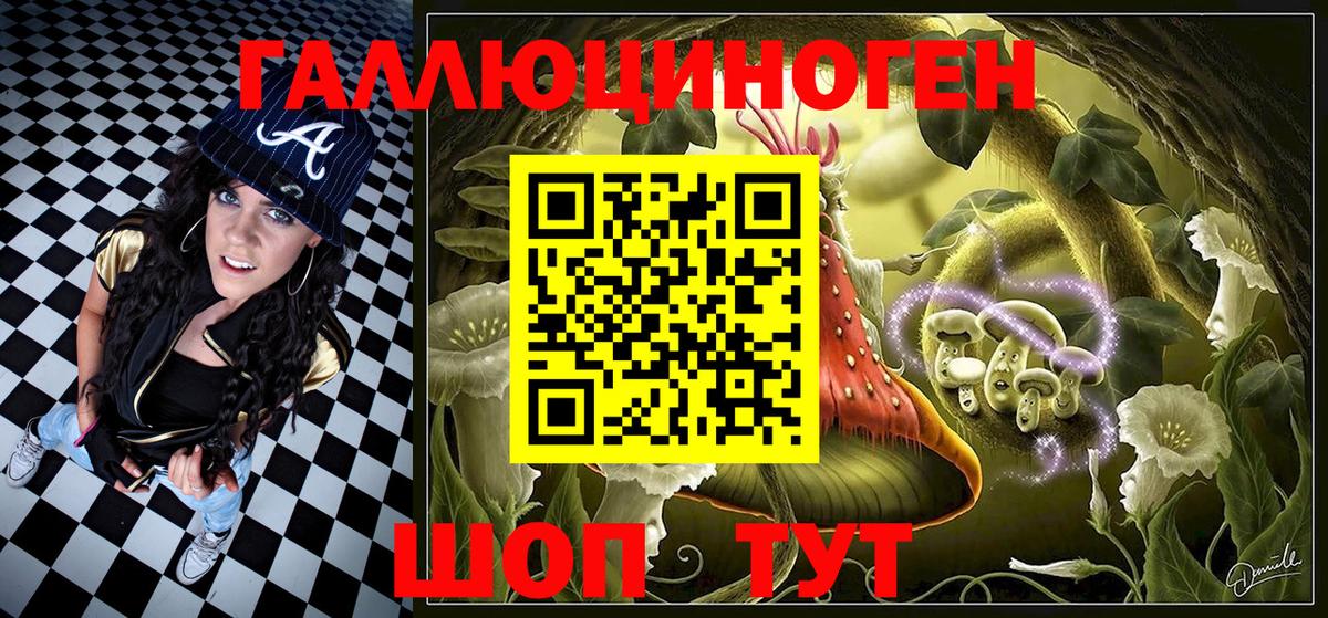 Галлюциногенные грибы Psilocybine cubensis  Вход с VPN  Гусь-Хрустальный 