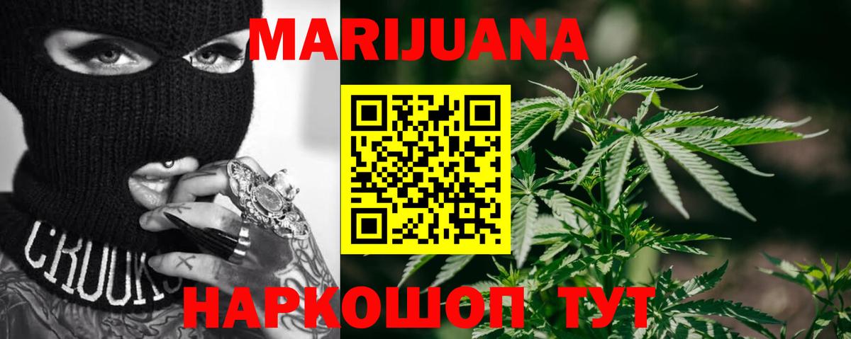 Бошки марихуана SATIVA & INDICA  Канабис индика  Марихуана план  Вход с VPN  Гусь-Хрустальный  Марихуана семена 